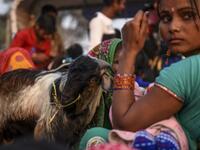 Hindu devotees travel with a goat in a vehicle ahead of Gadhimai Festival in Baryarpur, 160 kms south of the Kathmandu, on December 2, 2019. Thousands of Hindu worshippers are flocking to a village in southern Nepal on December 2, defying court orders and calls by animal activists, in preparation for the world's biggest animal sacrifice. PRAKASH MATHEMA / AFP