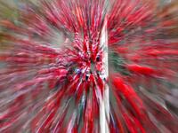 In this long exposure picture participants dressed as Santa Claus take part in Christmas traditional Santa Claus charity run, in Madrid, on December 8, 2019. GABRIEL BOUYS / AFP