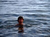 Tourists spend thousands to swim among the Penguins in Antarctica "It's like getting stabbed," a tourist exclaimed, as he plunged into the three-degree celsius water (Twitter)