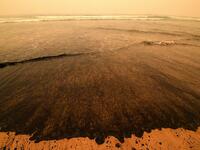 Ash from bushfires washes up on a beach in Merimbula, in Australia's New South Wales state on January 5, 2020. Australians on January 5 counted the cost from a day of catastrophic bushfires that caused "extensive damage" across swathes of the country and took the death toll from the long-running crisis to 24. SAEED KHAN / AFP
