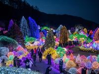 In a photo taken on January 11, 2020 visitors look at an annual light display at the 'Garden on Morning Calm', near Gapyeong, east of Seoul. Ed JONES / AFP