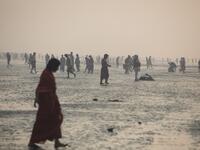 Hindu devotees gather to take a holy dip in the Bay of Bengal during the Gangasagar Mela, at Sagar Island, some 150 kilometres south of Kolkata on January 14, 2020. XAVIER GALIANA / AFP