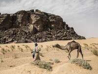 Ahmed(20), from the small Nemadi(hunters) tribe in Eastern Mauritania, is seen leading a camel along the caravan route from Tichitt to Aratane in Mauritania on January 25, 2020. In the arid West African country of Mauritania, the way of life of the traditional group of hunters known as the Nemadi is slowly disappearing. JOHN WESSELS / AFP