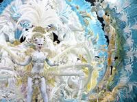A participant presents her outfit during the Queen of the Carnival pageant contest in Santa Cruz de Tenerife, on the Spanish Canary island of Tenerife, on February 19, 2020. Gabriel BOUYS / AFP