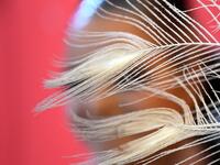 A participant prepares backstage before presenting her outfit during the Queen of the Carnival pageant contest in Santa Cruz de Tenerife, on the Spanish Canary island of Tenerife, on February 19, 2020. Gabriel BOUYS / AFP