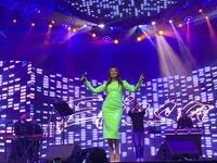 Elissa held a concert in Dubai