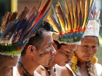 The doctor, who has not been named, had returned from vacation on March 18 to work with the Tikunas (pictured), a tribe of more than 30,000 people who live in the upper Amazon near the borders with Colombia and Peru (Shutterstock)