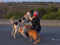 This photo taken on April 2, 2020 shows resident Ali Khurshid playing with stray dogs before feeding them on a street near Clifton beach during a government-imposed nationwide lockdown as a preventive measure against the COVID-19 coronavirus, in Karachi. Asif HASSAN / AFP
