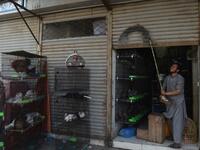 Abandoned when Pakistan's largest cities went into lockdown, hundreds of caged cats, dogs and rabbits have been found dead inside pet markets hurriedly shuttered as the coronavirus spread. Animals still alive in the corner of Karachi's sprawling Empress Market where pets are sold were rescued only after activists appealed to the authorities for access. Asif HASSAN / AFP