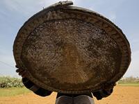 A Palestinian woman sifts lightly roasted wheat, harvested before maturity (freekeh), in Khan Yunis in the southern Gaza Strip on April 22, 2020, before being prepared to be used in a soup during the Muslim holy month of Ramadan which begins later in the week. From cancelled iftar (fast breaking) feasts to suspended mosque prayers, Muslims across the Middle East are bracing for a bleak month of Ramadan fasting as the threat of the COVID-19 pandemic lingers. The holy Muslims fasting month of Ramadan is a per