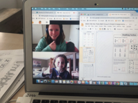 Online learning (remote education)