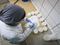 Izabela Ciesielska - covers goat cheese with salt on the "Nad Arem" farm in the Masuria - polish lake region, May 15, 2020. The sheep and cows are in the meadow, the cheese is ripening in a room on the ground floor -- just the kind of scene attracting increasing numbers of Polish cityslickers away from the urban jungle. Wojtek RADWANSKI / AFP