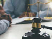 9. Legal consultants