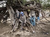 A Fulani herder sits in the shade of a tree at a un-official herders market in Barkedji on May 29, 2020. COVID-19 coronavirus restrictions have closed down markets and regional movement, as a result Fulani herders are struggling to move to areas with more grazing land for there live stock. Closures of markets have meant that the prices for live stock has dropped by up to fifty percent, leaving the pastoralist stuck with out being able to pay for the provisions to move on. JOHN WESSELS / AFP