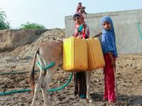 Yemeni girls fill jerrycans carried by donkeys with water from a cistern at a make-shift camp for the internally displaced, in the northern Hajjah province, on June 7, 2020, amid a severe shortage of water. ESSA AHMED / AFP