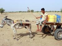 A Yemeni youth riding a donkey cart arrives to fill jerrycans with water from a cistern at a make-shift camp for the internally displaced, in the northern Hajjah province, on June 7, 2020, amid a severe shortage of water. ESSA AHMED / AFP