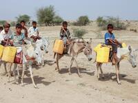 Yemeni children riding donkeys arrive to fill their jerrycans with water from a cistern at a make-shift camp for the internally displaced, in the northern Hajjah province, on June 7, 2020, amid a severe shortage of water. ESSA AHMED / AFP