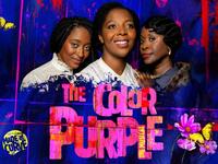 فيلم The Color Purple: والذي تم انتاجه عام 1985، يتحدث عن امرأة جنوبية سوداء تناضل للعثور على هويتها بعد تعرضها لإساءة المعاملة من والدها وآخرين على مدى أربعة عقود.