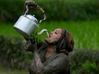 A woman drinks rice wine while planting rice during "National Paddy Day", which marks the start of the annual rice planting season, in Tokha village on the outskirts of Kathmandu on June 29, 2020. Splashing mud and drinking local rice beer, Nepali farmers this week celebrated National Paddy Day to mark the beginning of the rice-planting season, despite some coronavirus lockdown measures still in place. Traditional farming songs and laughter echoed in the air as farmers waded into waterlogged fields to sow g