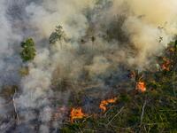Smoke and flames rise from an illegally lit fire in Amazon rainforest reserve, south of Novo Progresso in Para state, Brazil, on August 15, 2020. CARL DE SOUZA / AFP
