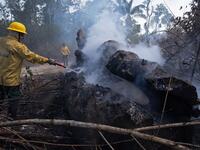 A member of fire prevention group PREVFOGO extinguishes a burning area of the Amazon rainforest reserve, south of Novo Progresso in Para state, Brazil, on August 15, 2020. JOÃO LAET / AFP