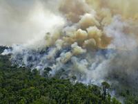 Aerial view of a burning area of Amazon rainforest reserve, south of Novo Progresso in Para state, on August 16, 2020. CARL DE SOUZA / AFP