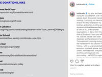 Bella Hadid: 'I will be sending donations to the Lebanese Red Cross.'