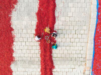 Aerial View of Red Chili Processing in Bangladesh. (Shutterstock/ File photo)