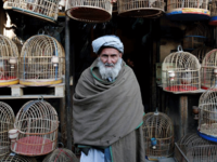 2. Ka Firushi Bird Market in Kabul