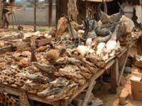 5. Lome Voodoo Market in Togo
