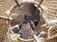 Saudi Photographer Hesham Alhumaid: Fishing net maker - Djenne - Mali. (Instagram/@hesh4m)
