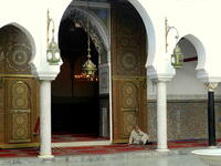 The University of Al Quaraouiyine.  It is not as visually-spectacular but it still has a beautiful design with arched doorways /Photo Ewelina Lepionko