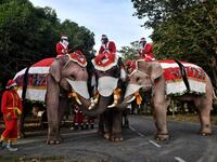 Elephants from the Ayutthaya Elephant Palace, dressed in Santa Claus costumes and wearing face masks, pose for photos ahead of event to hand out face masks to students outside the Jirasat Wittaya School in the central Thai province of Ayutthaya on December 23, 2020. Lillian SUWANRUMPHA / AFP