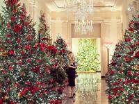 Under the theme of “America the Beautiful”, Christmas spirit in the White House. (Twitter)