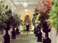 Melania Trump decorates The White House for Christmas. (Twitter)