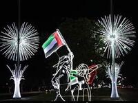 Roads Decorated for the UAE National day. (Twitter)