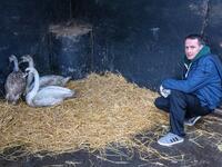 Animal Manager of Wildlife Rehabilitation Ireland, Dan Donoher checks wounded swans at their new premises situated behind the Tara na Ri Pub, which is shuttered due to the Covid-19 pandemic, at Garlow Cross outside Navan in County Meath, Ireland on February 18, 2021. Since Ireland's first coronavirus lockdown pub the Tara Na Ri has been closed to regulars, but now it hosts a menagerie of new clientèle as the nation's first wildlife hospital. PAUL FAITH / AFP