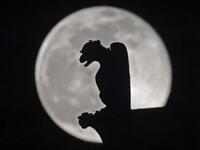 Full Moon in Notre-Dame cathedral, Paris