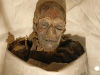 In this file photo taken on June 27, 2007, the mummified remains of Queen Hatshepsut, ancient Egypt's most famous female pharaoh