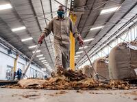 Tobacco season starts in Harare