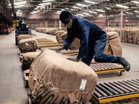 Tobacco season starts in Harare