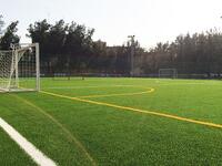 Photo: News of Bahrain