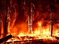 Wildfires erupts in Northern California Forests