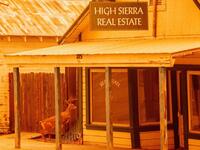 Some photos from the #dixiefire today - now over 180k acres, 17% contained and the largest California fire of the year so far. The fire front is about 30 miles across and continuing to move towards rural communities. The last pic is a homeowner that decided to ignore the mandatory evacuation order. 