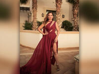 Lebanese presenter Raya Abi Rachid