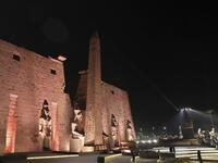 طريق الكباش سيجعل من محافظة الأقصر "متحفًا مفتوحًا".