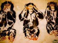 January 25 Revolution