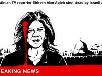 Cartoonists Pay Tribute to Al Jazeera journalist Shireen Abu Akleh