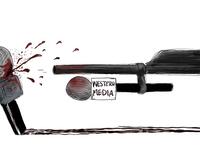 Cartoonists Pay Tribute to Al Jazeera journalist Shireen Abu Akleh.