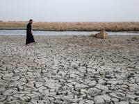 Climate Change